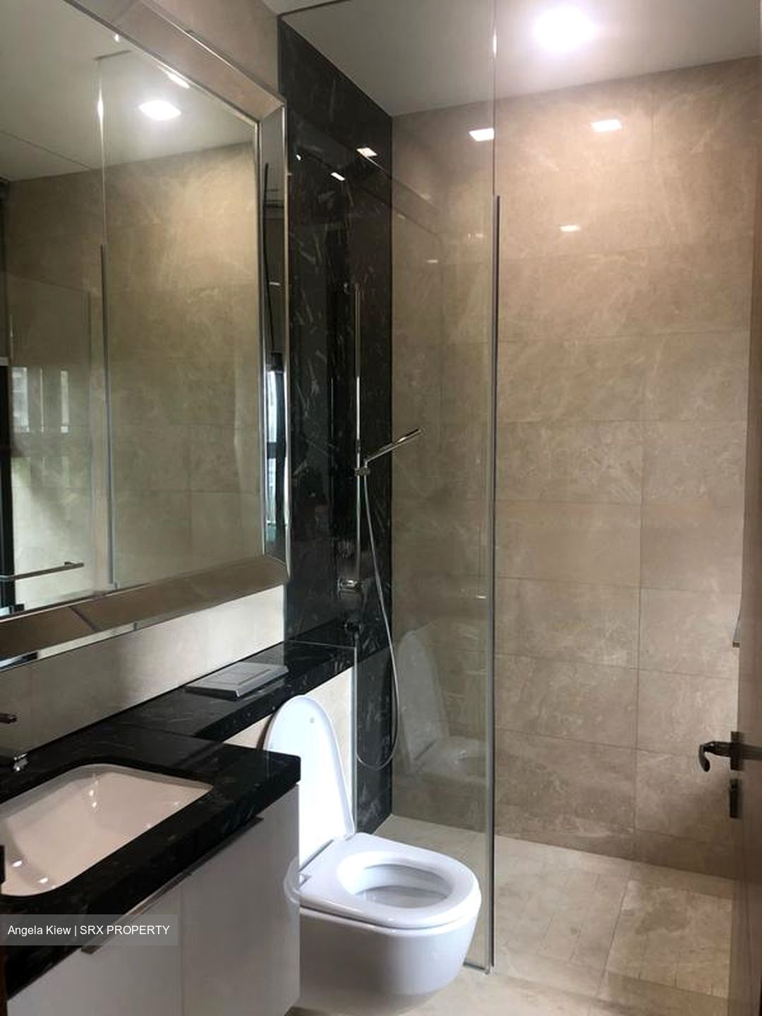 One Balmoral (D10), Condominium #456479021